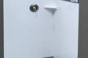 showersstandard82